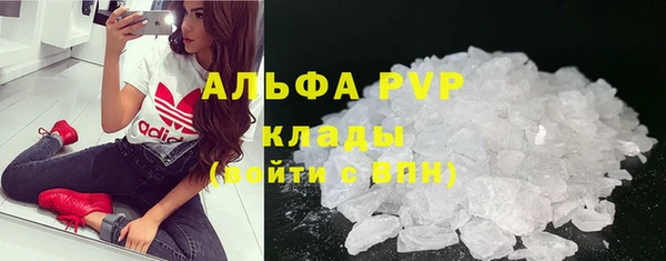 ГАЛЛЮЦИНОГЕННЫЕ ГРИБЫ Ельня