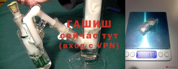 ГАЛЛЮЦИНОГЕННЫЕ ГРИБЫ Ельня