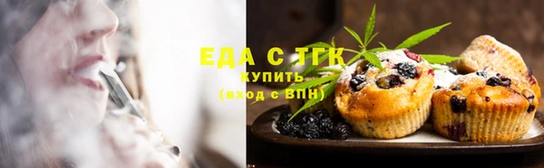 шишки Туринск