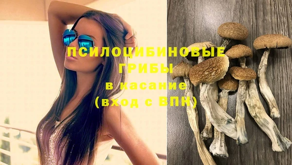 apvp Тында