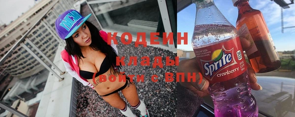 ГАЛЛЮЦИНОГЕННЫЕ ГРИБЫ Ельня
