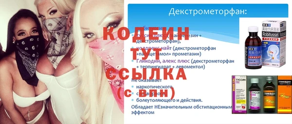 ГАЛЛЮЦИНОГЕННЫЕ ГРИБЫ Ельня