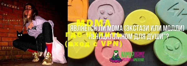 ГАЛЛЮЦИНОГЕННЫЕ ГРИБЫ Ельня