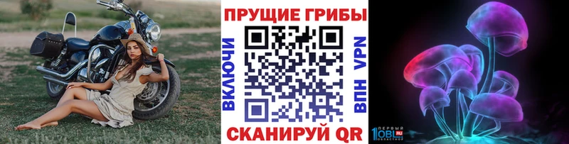купить наркотик  Серпухов  Галлюциногенные грибы Cubensis 