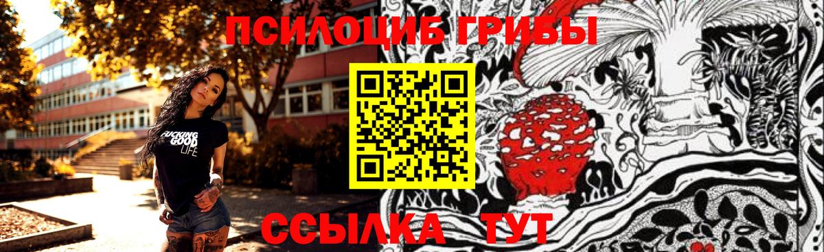 Псилоцибиновые грибы Psilocybe  Серпухов  где продают   Галлюциногенные грибы мухоморы 