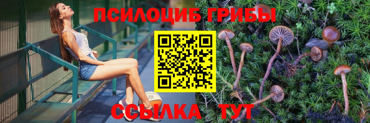 Галлюциногенные грибы Magic Shrooms Серпухов